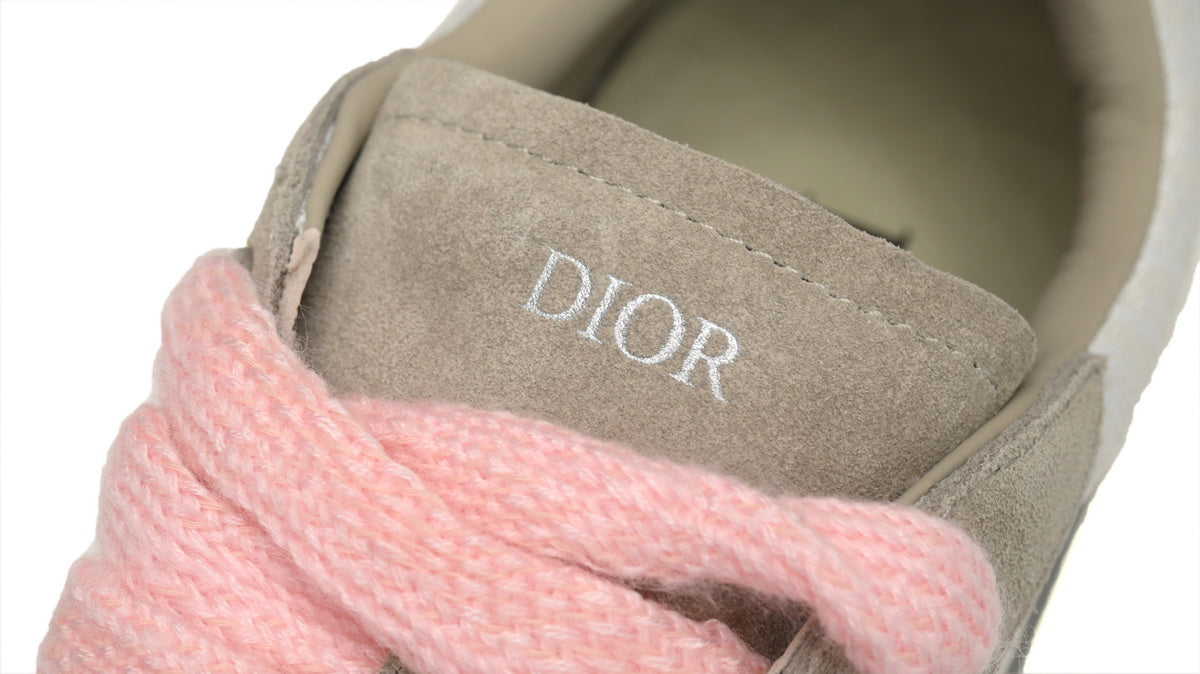 Dior B33 Sneaker ‘ Dust'